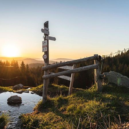هينترتزارتن Waldhotel Fehrenbach المظهر الخارجي الصورة