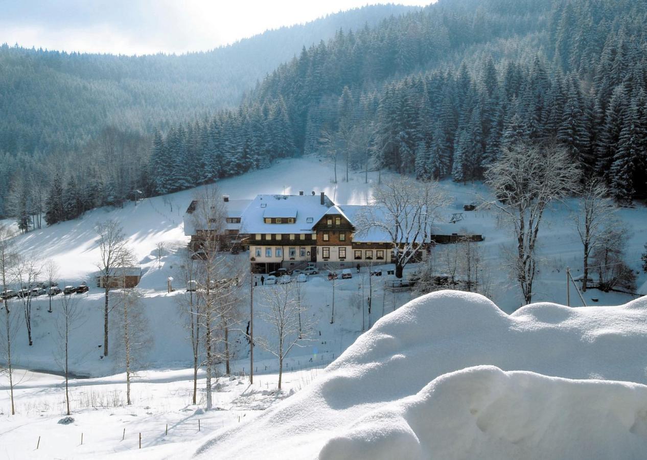 هينترتزارتن Waldhotel Fehrenbach المظهر الخارجي الصورة