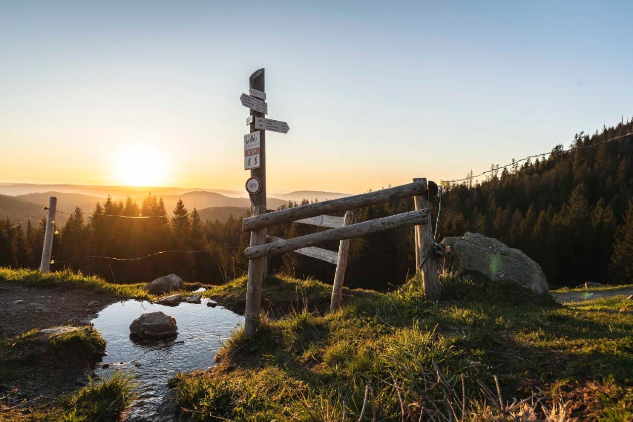 هينترتزارتن Waldhotel Fehrenbach المظهر الخارجي الصورة