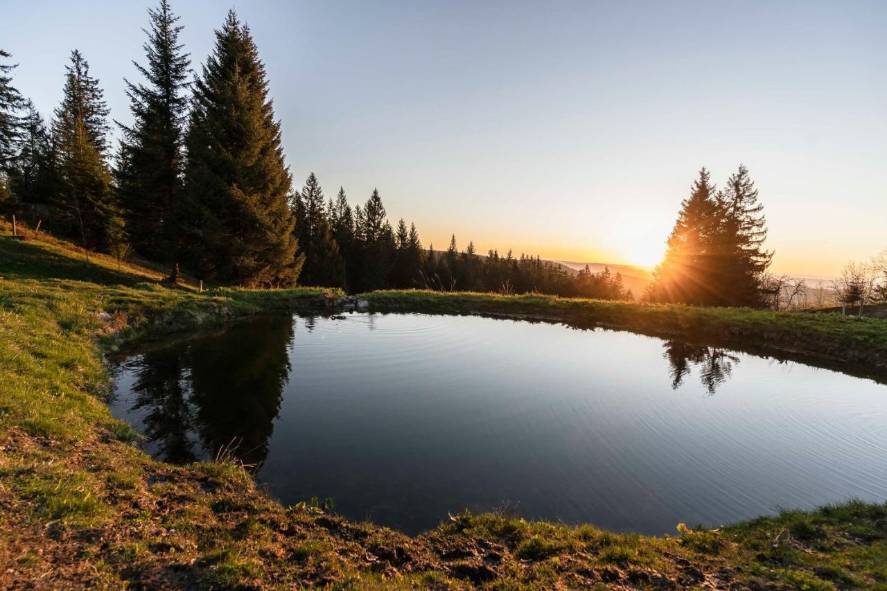 هينترتزارتن Waldhotel Fehrenbach المظهر الخارجي الصورة